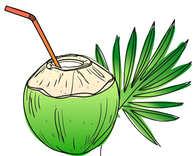 Kreslený obrázek: Kokosový ořech, drink