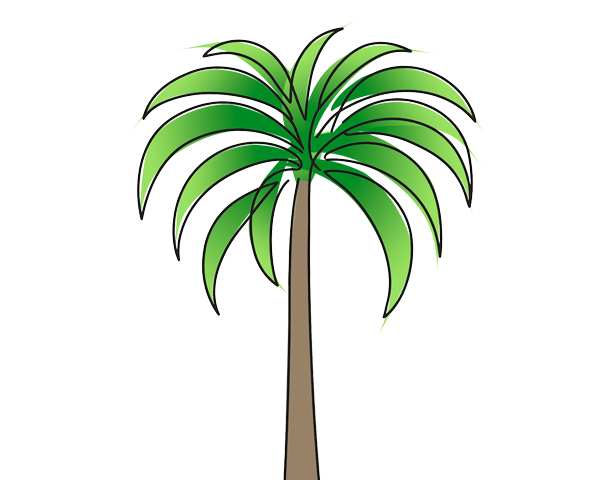 Kreslený obrázek: Palma